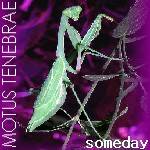 Motus Tenebrae : Someday